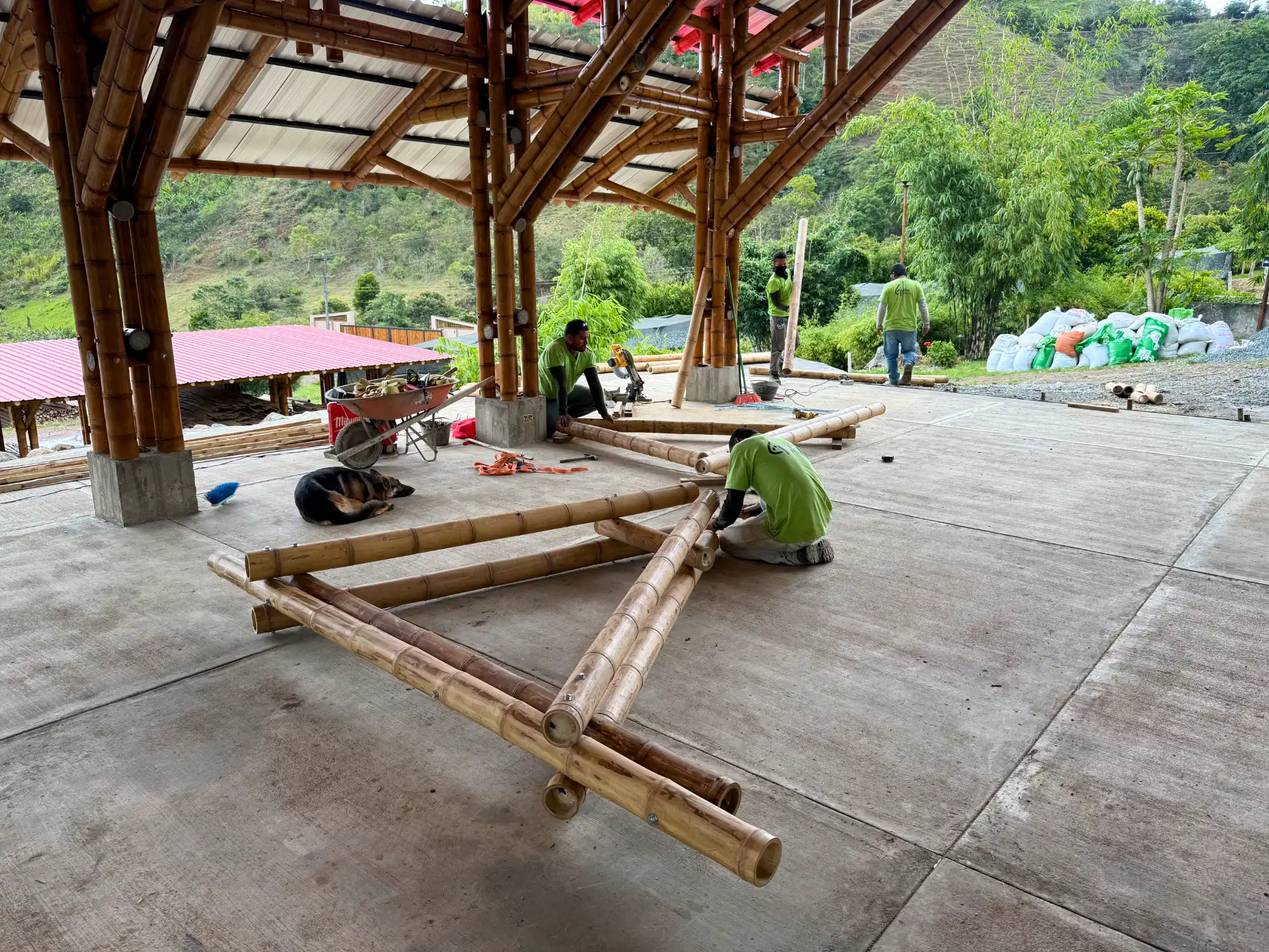 Prefab bamboo shade structure built at Hacienda Guadua Bamboo in Colombia