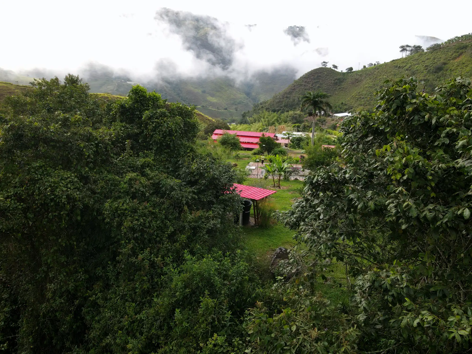 Prefab bamboo shade structure built at Hacienda Guadua Bamboo in Colombia