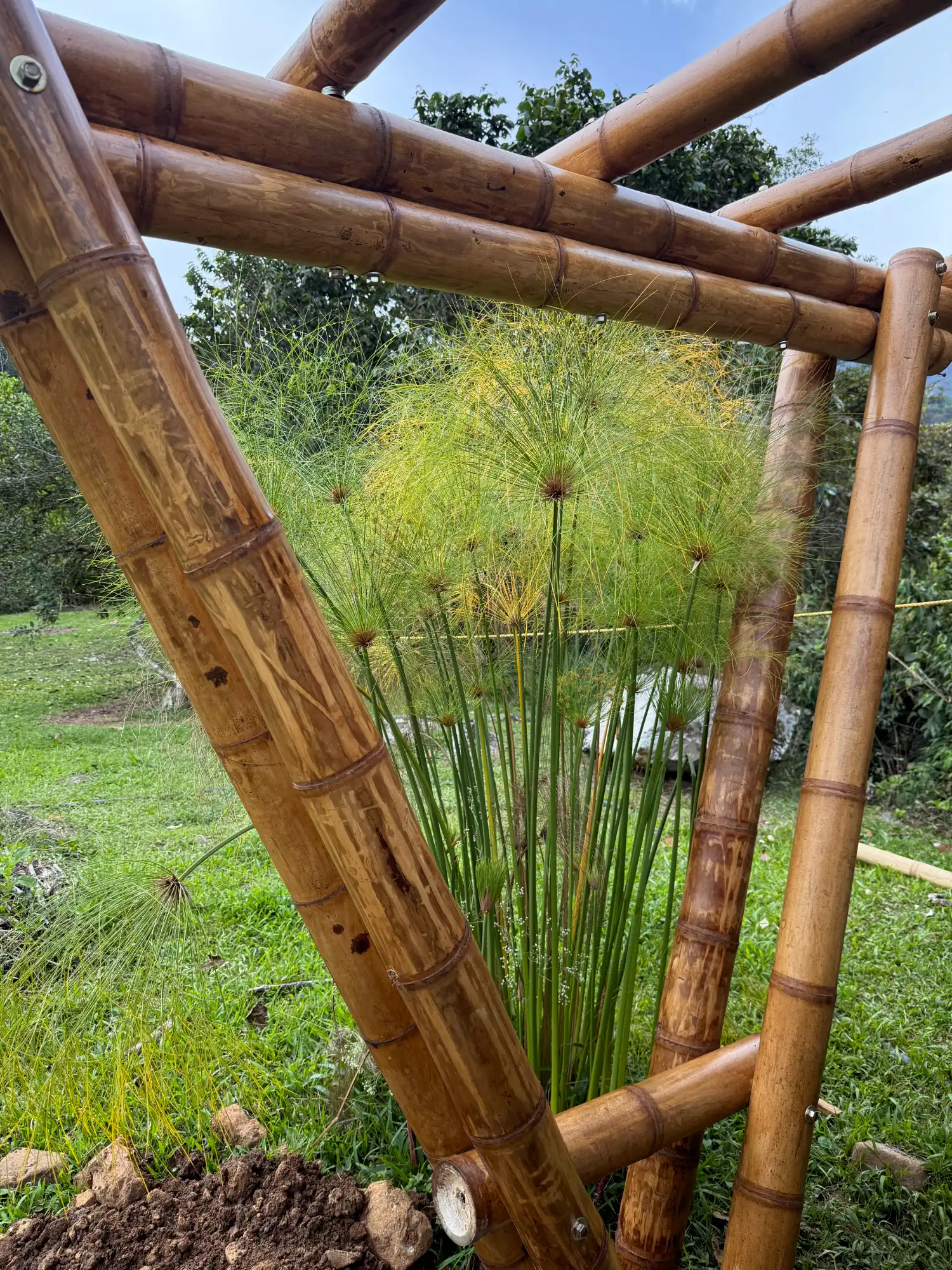 Prefab bamboo shade structure built at Hacienda Guadua Bamboo in Colombia