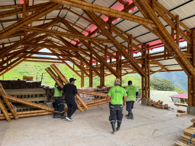 Loading prefabricated bamboo construction elements onto a truck at the Guadua Bamboo facility