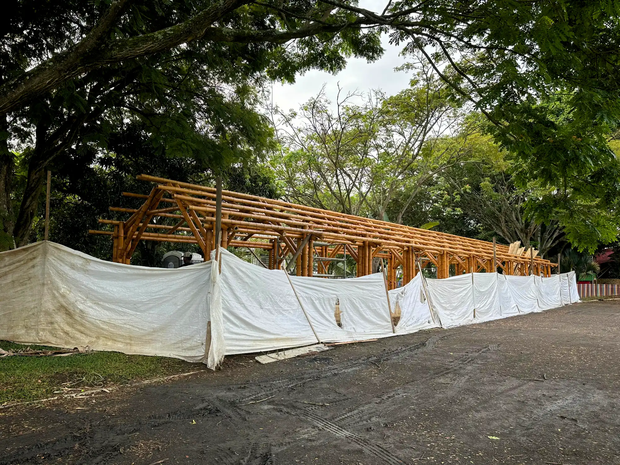 Installing the Guadua bamboo roof rafters and bracing over the prefabricated structure