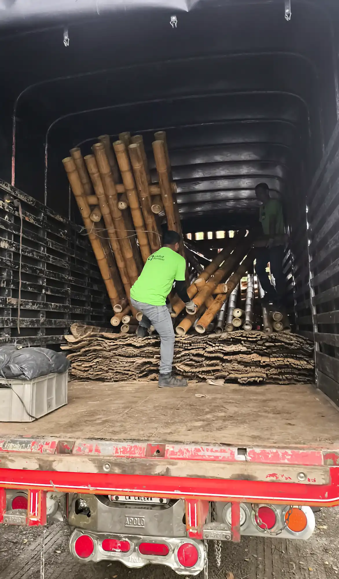 Unloading prefabricated bamboo truss and column elements at the Colegio Alemán site in Cali