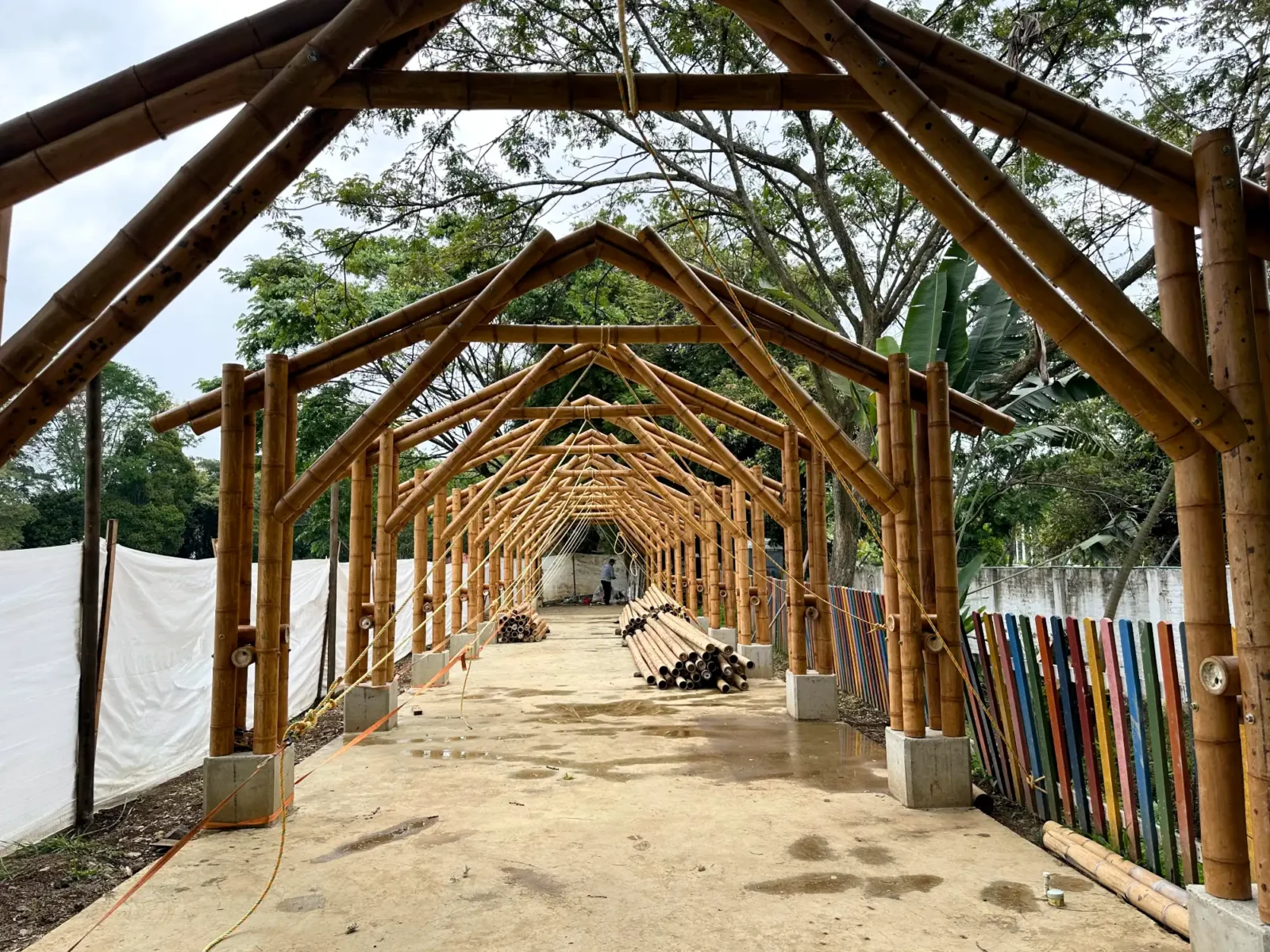 Prefabricated Bamboo School Dining Corridor Colegio Alemán Prefabricated Bamboo School Dining Corridor for Colegio Alemán in Cali