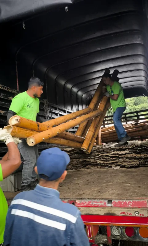 Unloading prefabricated bamboo truss and column elements at the Colegio Alemán site in Cali