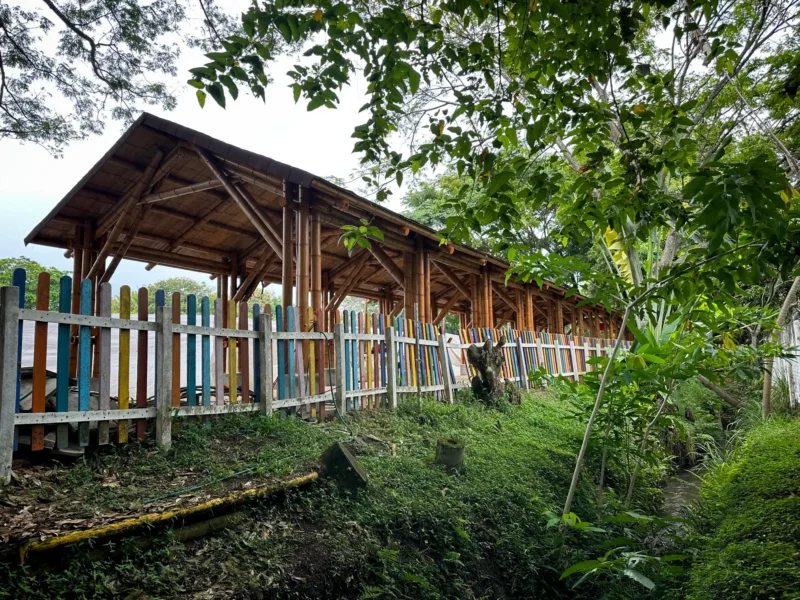 Prefabricated Bamboo School Dining Corridor Colegio Alemán