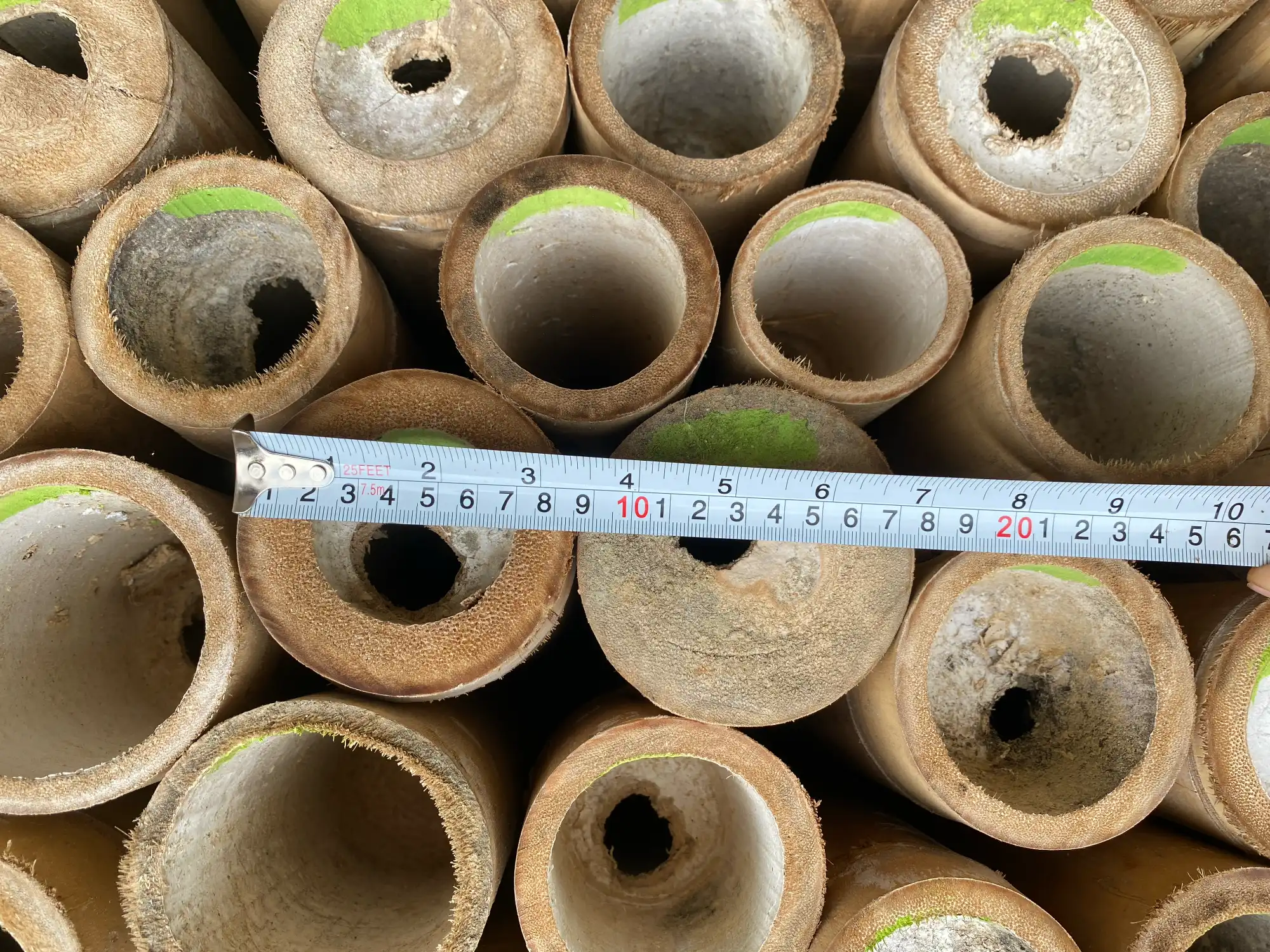 Bamboo diameter measuring