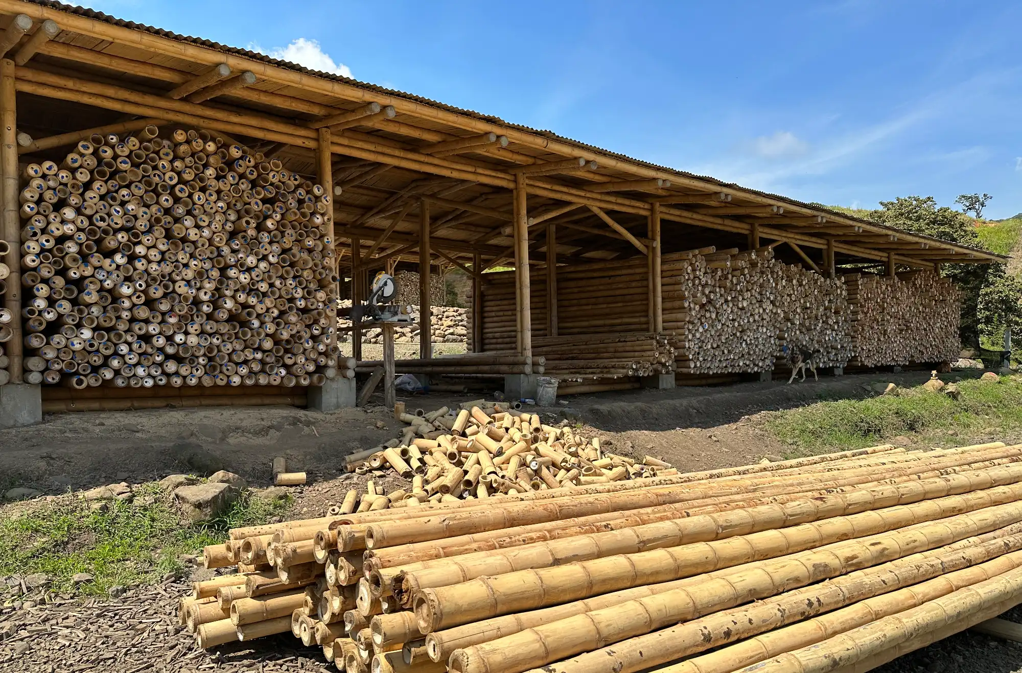 Bamboo storage per diameter class