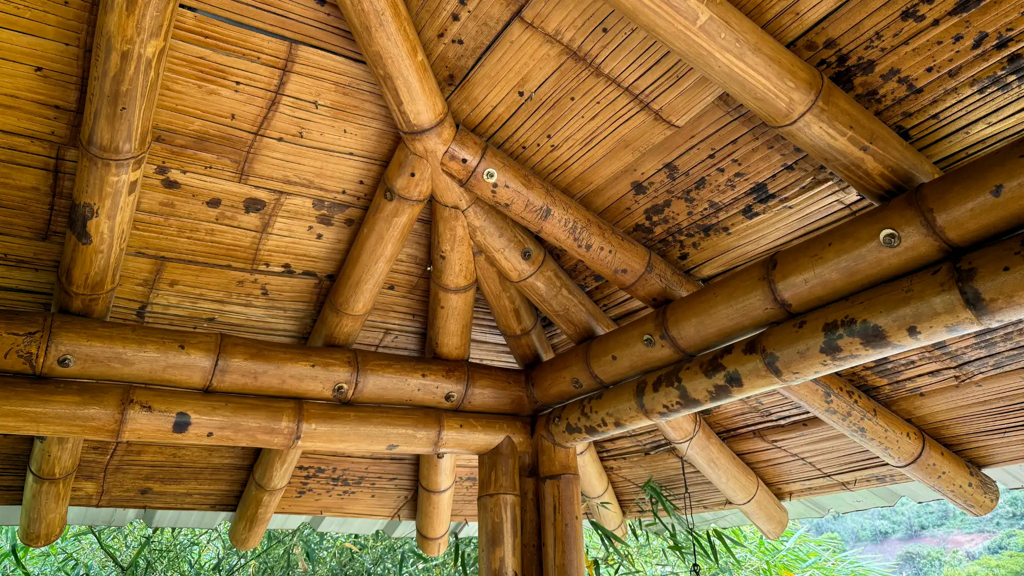 Guadua bamboo construction with black spots and Lasur finish Guadua bamboo construction with black spots and Lasur finish