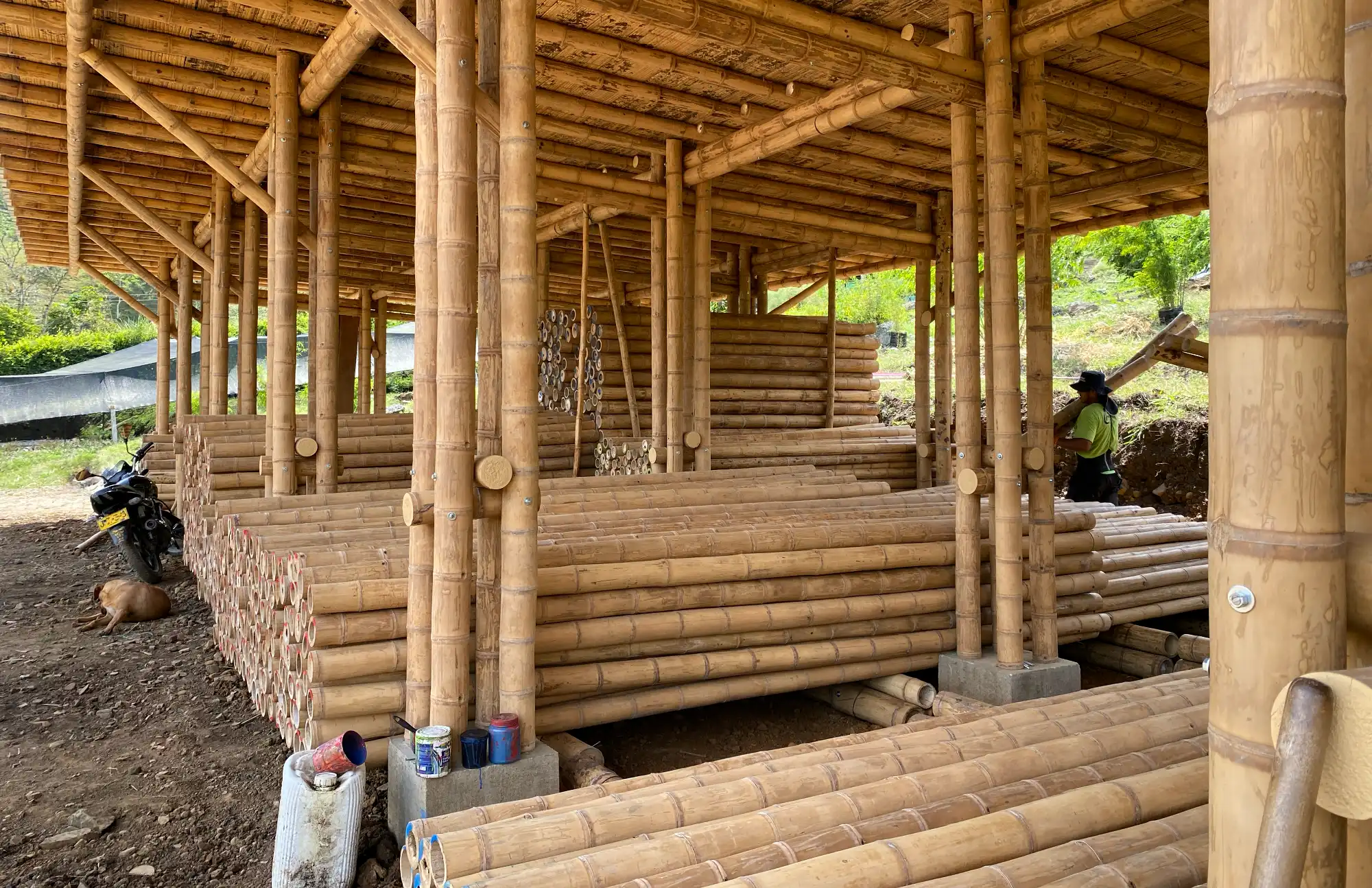 Seasoning bamboo poles